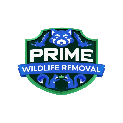 Wildlife Removal Starke County